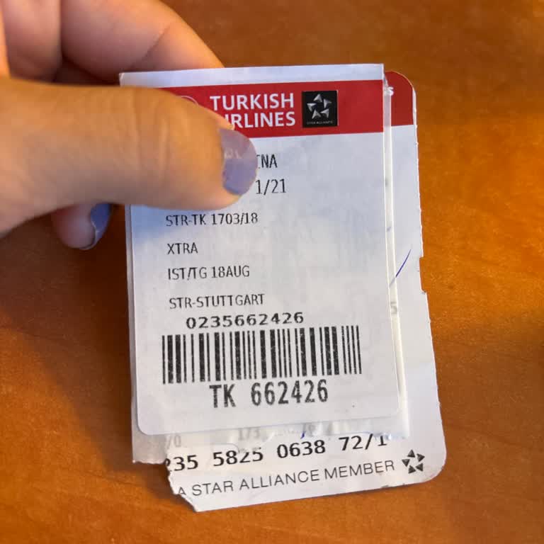 THY Stuttgart Uçuşu Bavulum Gelmedi