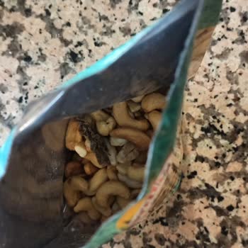 Simbat Kuruyemişten Yabancı Cisim Çıktı