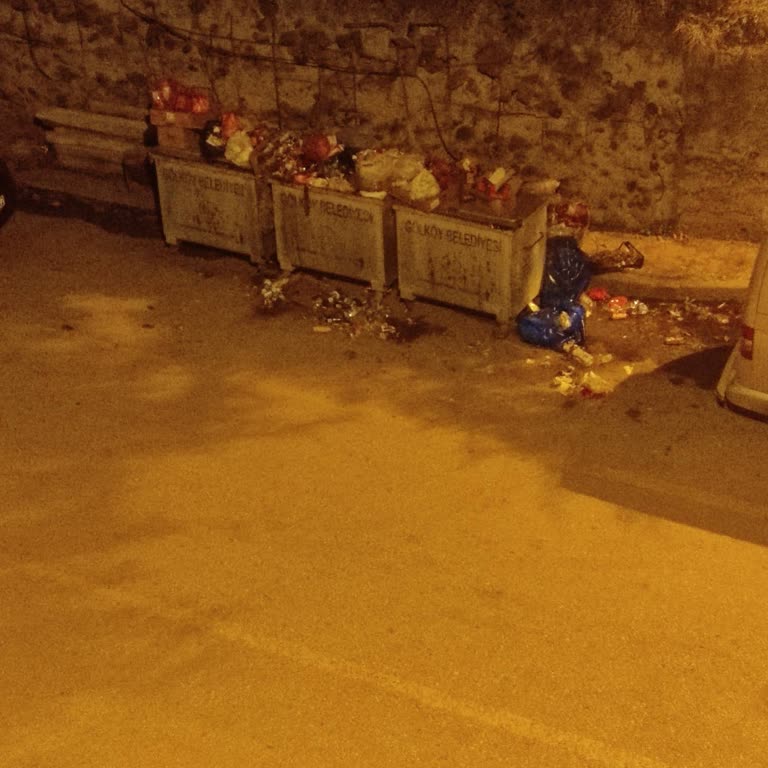 Gölköy Belediyesi Çöpleri Toplatmıyor. Konteyner Yetersiz