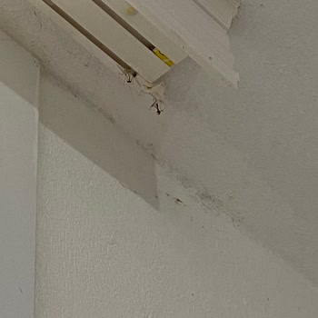 Doa Apartments Doa Apartman Temizlik Sorunu