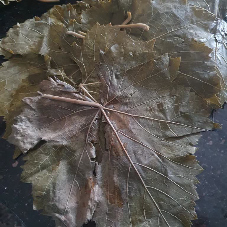 Yasmin Doğal (ege_salamur_) Görsellerle Uyuşmayan Ürün Teslimatı