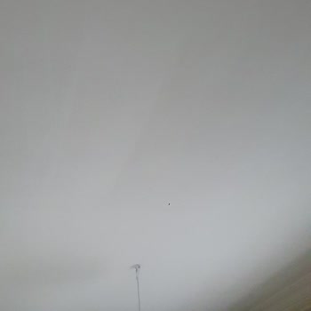 Bianca Boya Bianca Tavan Boyası İz Bırakıyor!