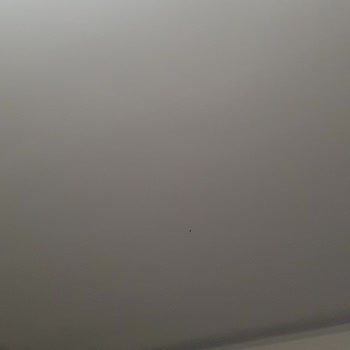 Bianca Boya Bianca Tavan Boyası İz Bırakıyor!