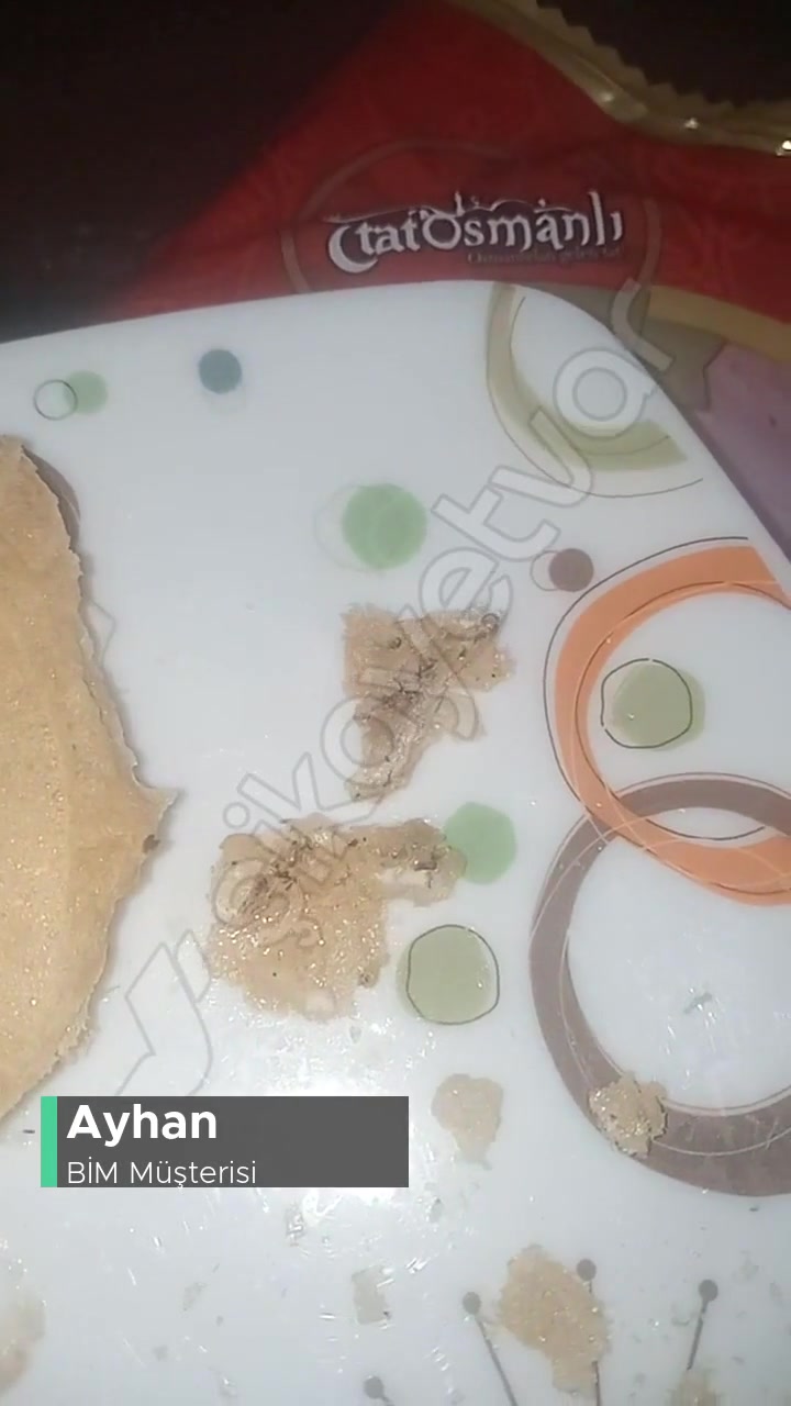 BİM Tat Osmanlı İçinde Ne Var! videonun kapak resmi