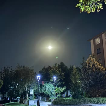 iPhone I Phone 15 Plus Işık Yansıması