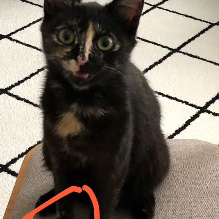 Eyüp Belediyesi Personel Şikayeti