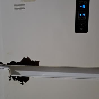 Hotpoint Indesit Her Tarafı Çürüyen Ariston Buzdolabı