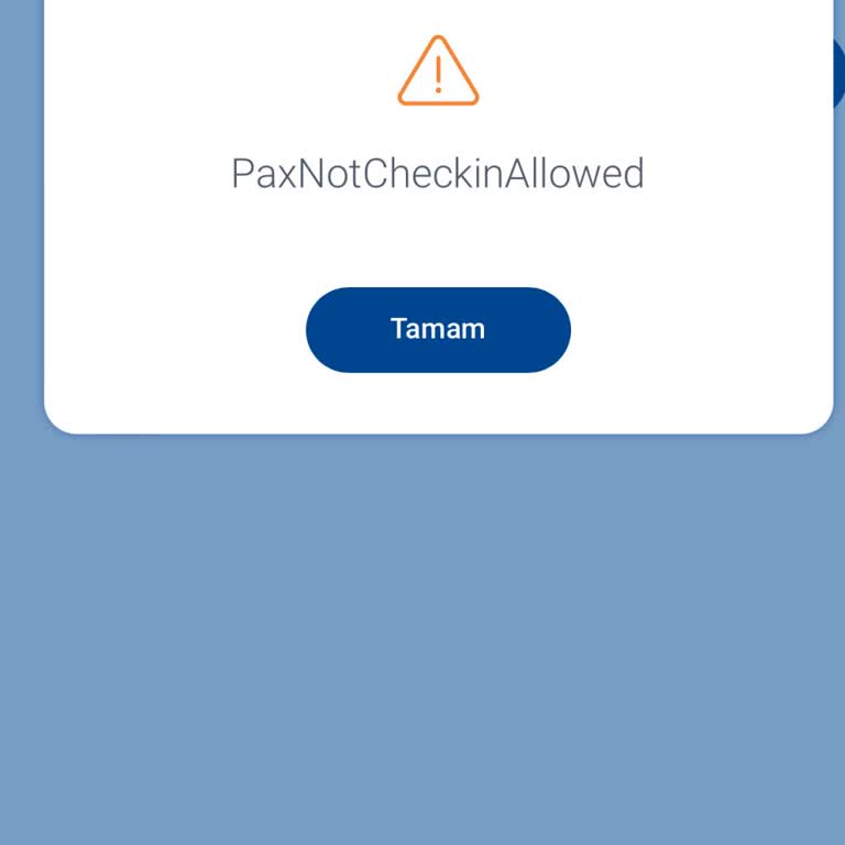 Sunexpress Online ( Offline) CHECK-İN