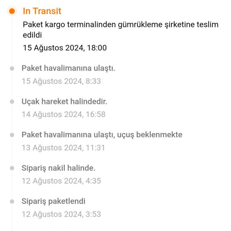 Temu Siparişi MNG Kargo Gümrükte Ürün Bekletiyor