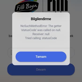 Filli Boya Filli Ustam Giriş Sorunu