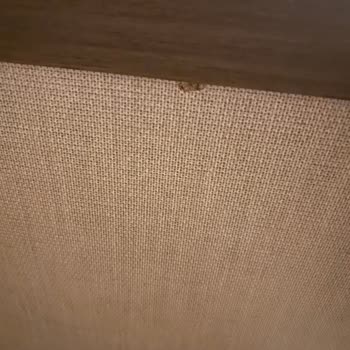 Kelebek Mobilya İlgisizliği Ve Mobilyaların Kötü Durumu