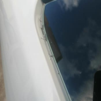 2018 Honda Civic Boya Atması Sorunu