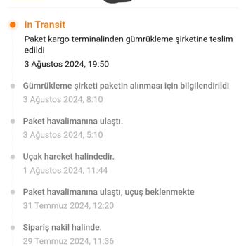MNG Kargo, Gümrükte Temu Kargolarını Neden Bekletiyor!?