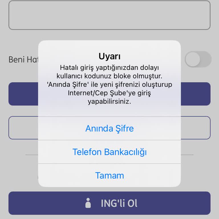 ING Kimlik Okuma Hatası