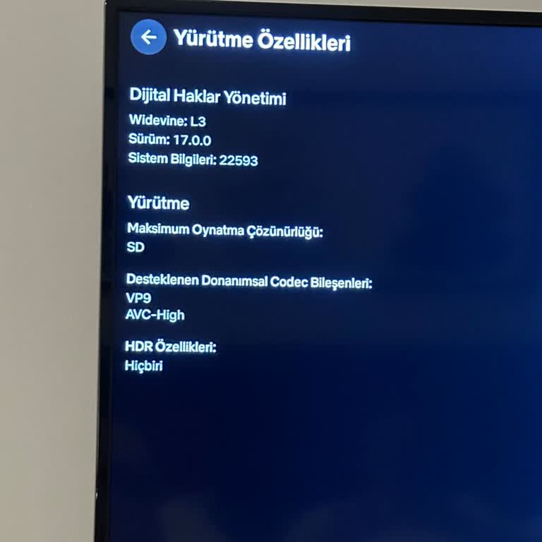 Onvo TV Netflix Görüntü Kalitesi 480p
