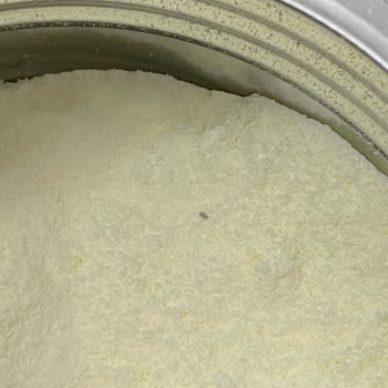 Golden Goat Mama İçinde Kurt Problemi