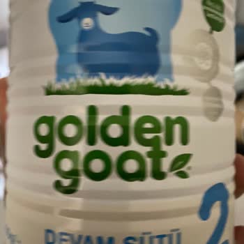 Golden Goat Mama İçinde Kurt Problemi