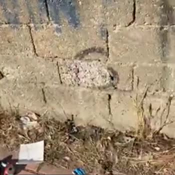 Selçuklu Belediyesi (Konya) Kaldırım Taşları Temiz Değil