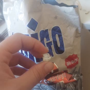 Amigo Salyangoz Çıktı Çekirdeğin İçinden