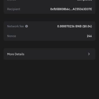 Babydoge Lost On Trust Wallet