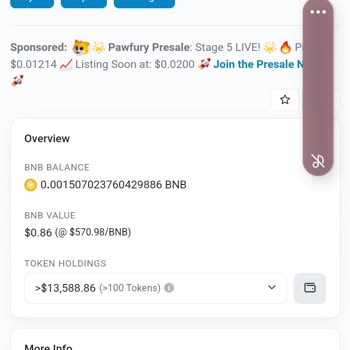 Babydoge Lost On Trust Wallet