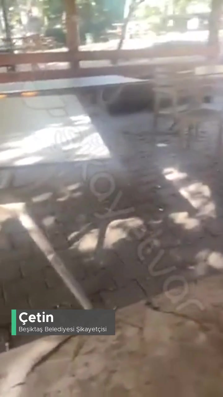 Beşiktaş Belediyesi Sporcular Parkı Şikayet videonun kapak resmi