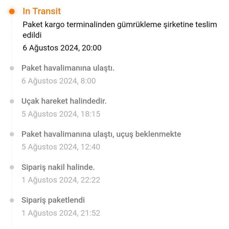 Temu Gümrük Sürecinin Uzun Sürmesi