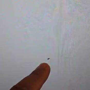 Vestel Televizyon Servisten Hasarlı Gelen TV