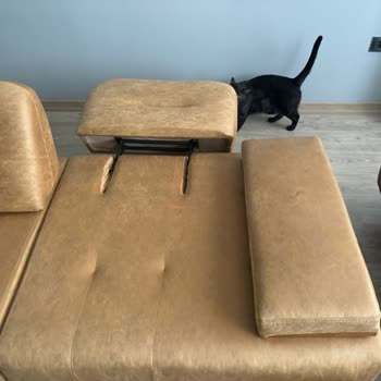 Asimo Mobilya Pişmanlıktır. Sevkiyat Kelimesinden Haberleri Yok!