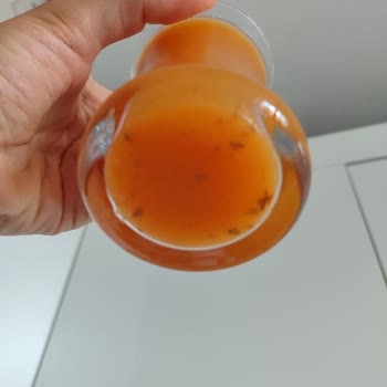Dimes Meyve Suyu İçinden Çıkan Şeyler