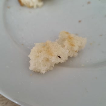 Migros Glutensiz Ekmek Şikayeti