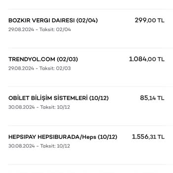 Akbank Axess Ekstre Sorunu: Çifte Harcama Yansıması