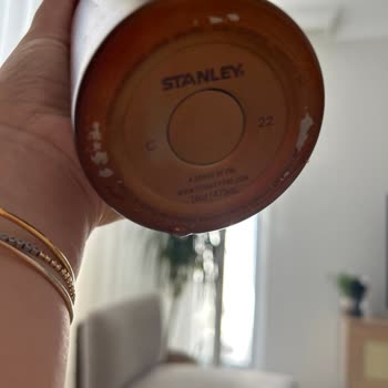 Stanley Kutup Ayısı Sorumsuzluğu