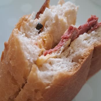 Ankara Halk Ekmek Hijyen Sorunu