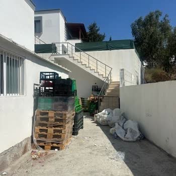 Şok Marketler Market Önündeki Engeller Ve Temizlik Sorunu