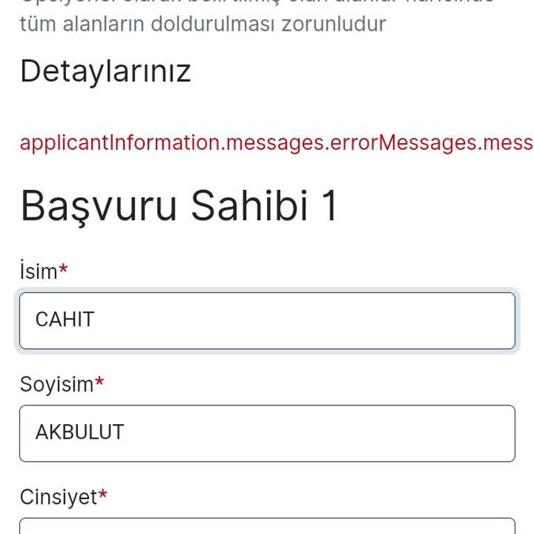 VFS Global Bulgaristan Randevusunda Hata Kodu