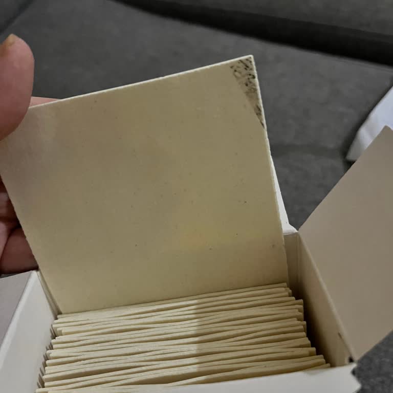 Barilla Lazanya Yaprağı Sorunlu Üretimi