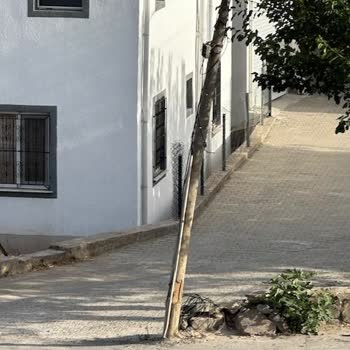Türk Telekom İnternet Arızası Hk. Acil