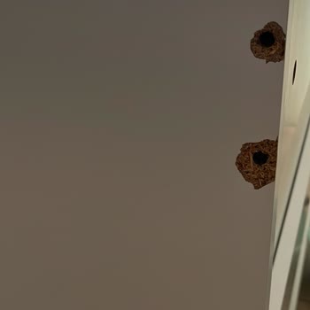 Vivense Haksız Kazanç Şikayetçiyim