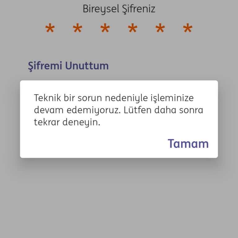 ING Bankası Teknik Sorun