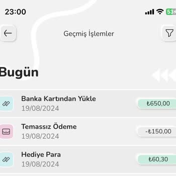 Nays Hesaba Para Aktarılmadı