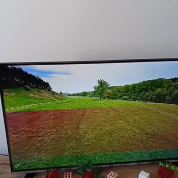 Vestel Yatay Çizgi Ve Dalgalanma Hizmet Alamamak