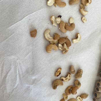 Amigo Marka Kaju Çerezi Çürük Çıktı