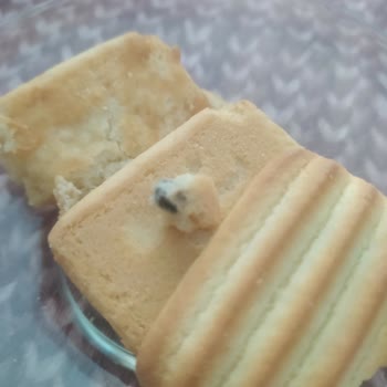 Eti Gıda Eti Cici Bebe Bisküvisinden Ne Olduğunu Bilmediğim Bir Şey Çıktı