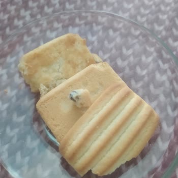 Eti Gıda Eti Cici Bebe Bisküvisinden Ne Olduğunu Bilmediğim Bir Şey Çıktı