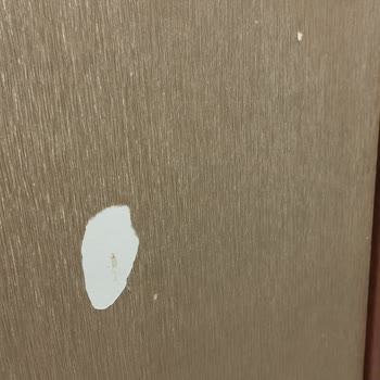 Türkiye Katılım Sigorta, Oluşan Hasarı Reddediyor