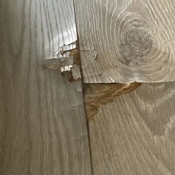 Samsung Buzdolabı Sorunu Ve Servis İlgisizliği