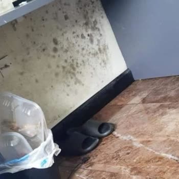 Campus Cyprus Kıbrıs'taki Kampüsün Depozito İadesi Sorunu
