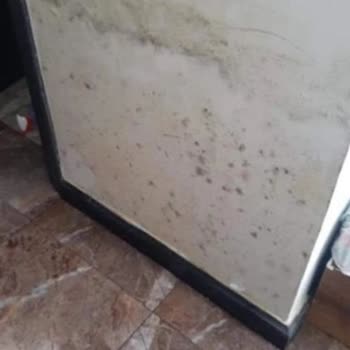 Campus Cyprus Kıbrıs'taki Kampüsün Depozito İadesi Sorunu