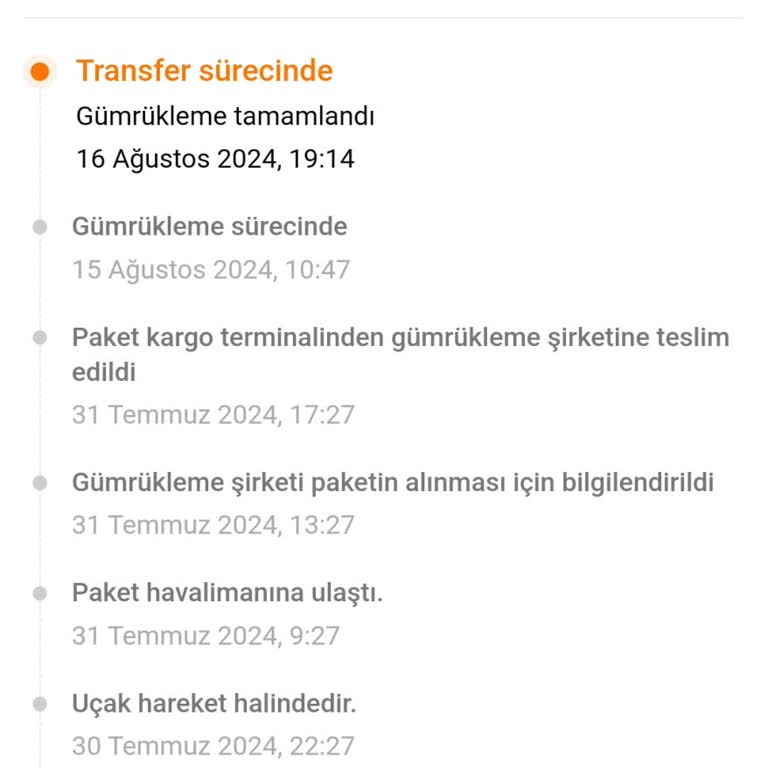 MNG Kargo Temu Gumruk Kargo Teslim Edilmesi